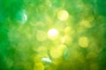 Abstract background image. Green Light