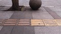 abstract background image of tree and stones in dynamic composition with pavement