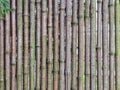 An abstract background image of a vertical bamboo fencing Royalty Free Stock Photo