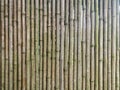 An abstract background image of a vertical bamboo sticks Royalty Free Stock Photo