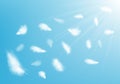 Abstract background image of white feathers flying in air