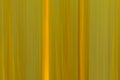 Abstract motion blur background in warm ellow tints with vertical and diagonal lines