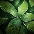Realistic Hyper-detailed Leaf Wallpaper Inspired By Biomimicry