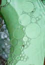 abstract background in light pastel green color with waves and pattern of rounds, bubbles, geometric Royalty Free Stock Photo