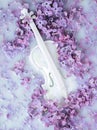 Abstract background with lilac flowers and white miniature violin