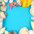 Abstract background made of shells blue background