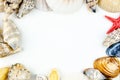 Abstract background made of shells Royalty Free Stock Photo