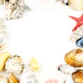 Abstract background made of shells white background Royalty Free Stock Photo