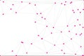 Abstract background of magenta dots connected by thin lines forming a geometric network against a white background Royalty Free Stock Photo