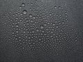 abstract background: many drops of water on a dark surface - non-stick coating Royalty Free Stock Photo