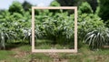 Background of mockup wooden frame with grass for product presentation, 3D illustration rendering Royalty Free Stock Photo