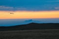 Abstract background, Mountain scenery with mist clouds and flight lonely bird in the dawn. Dawn mountains have become impressive