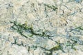Abstract background. Multi-colored stains on the surface of the swamp mud. Flowering of cyanobacteria in water bodies