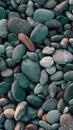 Pebble beach with multi-colored stones Royalty Free Stock Photo