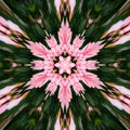 Abstract background, multicolored floral kaleidoscope image, pattern and texture