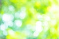 Abstract background Natural green