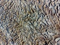 Abstract background of natural relief surface Royalty Free Stock Photo