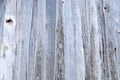 Abstract background of natural textural wood Royalty Free Stock Photo