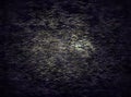 Abstract background of night the dreaming dark lines waves light burst texture