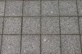 Abstract background. Old cobblestone pavement close-up. Royalty Free Stock Photo