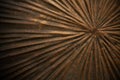 Abstract background of old wood texture for design in your work. Royalty Free Stock Photo