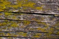 Abstract background. Old wooden board with cracks covered with moss. Dilapidated wood. Smooth textured surface