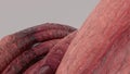 Abstract background of organic monster tentacles seductive bunch pink 3D Rendering image