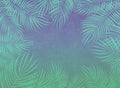 Green purple gray abstract background with palm leaves. Space for graphic design and text. Summer background with leaves of tropic Royalty Free Stock Photo