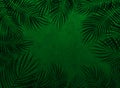 Green black abstract background with palm leaves.