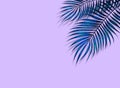 Light lilac purple blue abstract background with palm leaves. Royalty Free Stock Photo