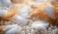 Abstract background, pearls and feathers in white and cream.