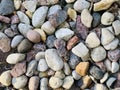 Abstract background with pebbles - round sea stones. abstract background with dry round reeble stones Royalty Free Stock Photo