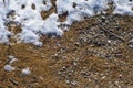 Abstract background photo of melting patch of snow on gravel