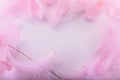 Abstract background. Pink downy feathers