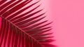 Abstract Background with Pink Leaves and Shadow. Tropical Shadow from Palm Leaf on Trendy Red Pink Viva Background.