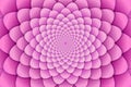 Abstract background. Pink spiral flower pattern. Abstract Lotus Flower. Esoteric Mandala Symbol.