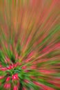 abstract background of planting flower in garden,with blur filter Royalty Free Stock Photo