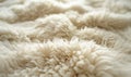 abstract background of plush sheepskin rug