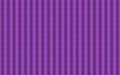 Abstract background with purple shining stripes Royalty Free Stock Photo