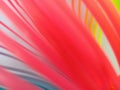 Abstract background of red blurred gradient wave line Royalty Free Stock Photo