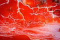 Abstract background of bright red paint with white veins, cracks