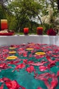 Abstract background with red peony flowers and orange slices in a bathtub Royalty Free Stock Photo