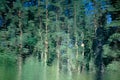 Abstract background: reflection of forest in the water. Green pine trees reflecting in a pond Royalty Free Stock Photo