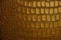 Abstract background reptile skin in gold color