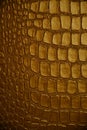 Abstract background reptile skin in gold color