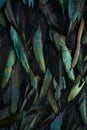 Abstract background of rooster feathers, metallic colors Royalty Free Stock Photo