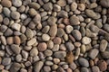 Abstract background of round natural irregular rough rugged brown and beige pebble stones.