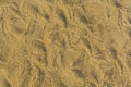 Abstract background of sand ripples under clear water at the beach Royalty Free Stock Photo