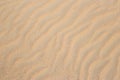 sandy sea on the beach. Wave sand texture