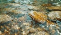 Abstract background of a serene stream creates a calming atmosphere Royalty Free Stock Photo
